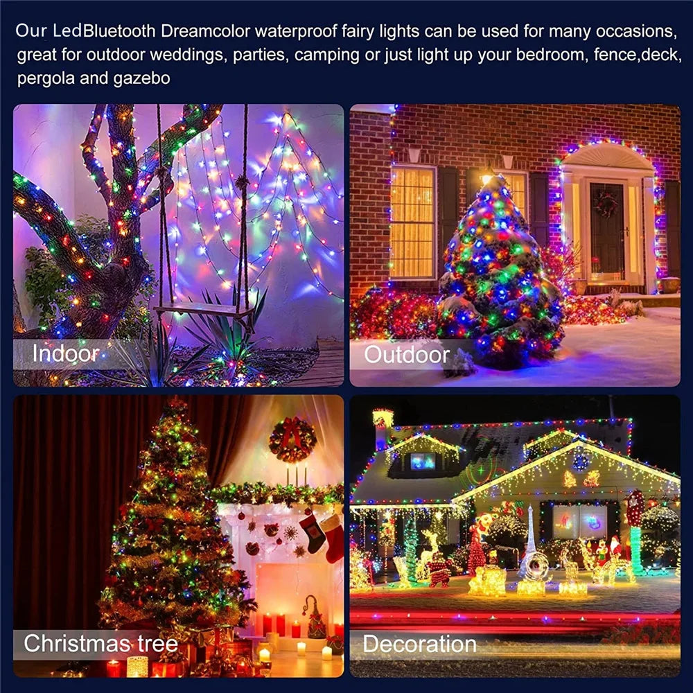 Bluetooth RGBIC Color Fairy String Lights