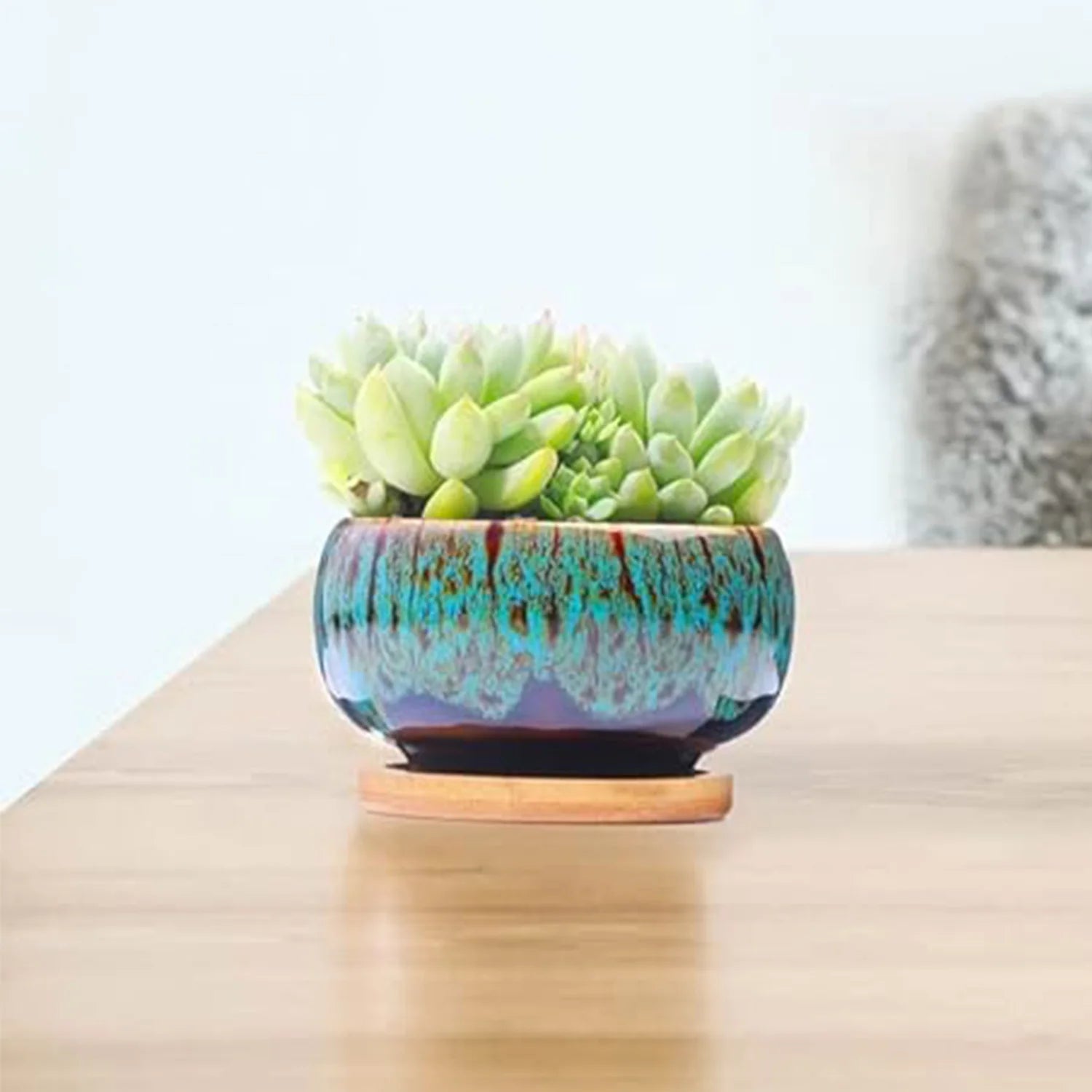 Mini Ceramic Bonsai Pots Set of 6