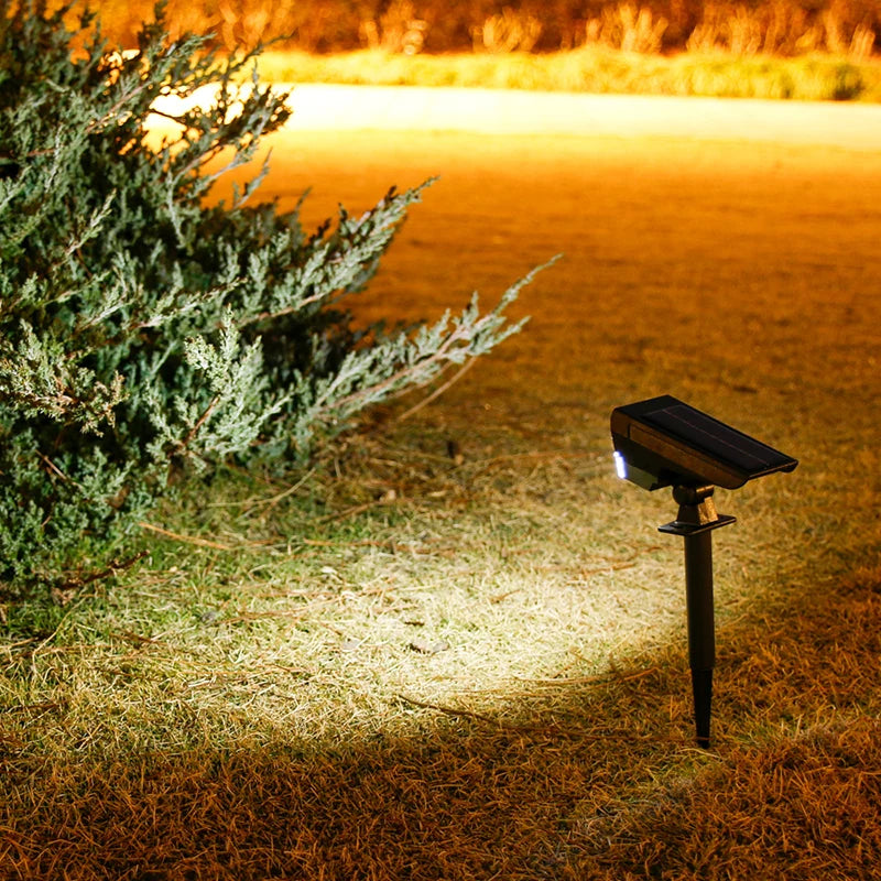Adjustable Solar Spotlight