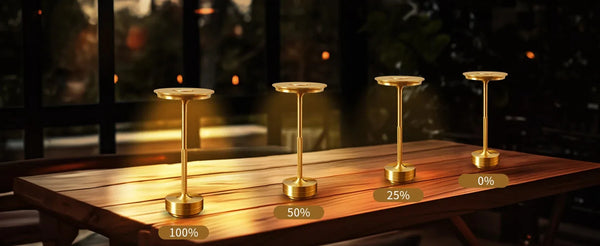 Cordless Portable Table Lamp