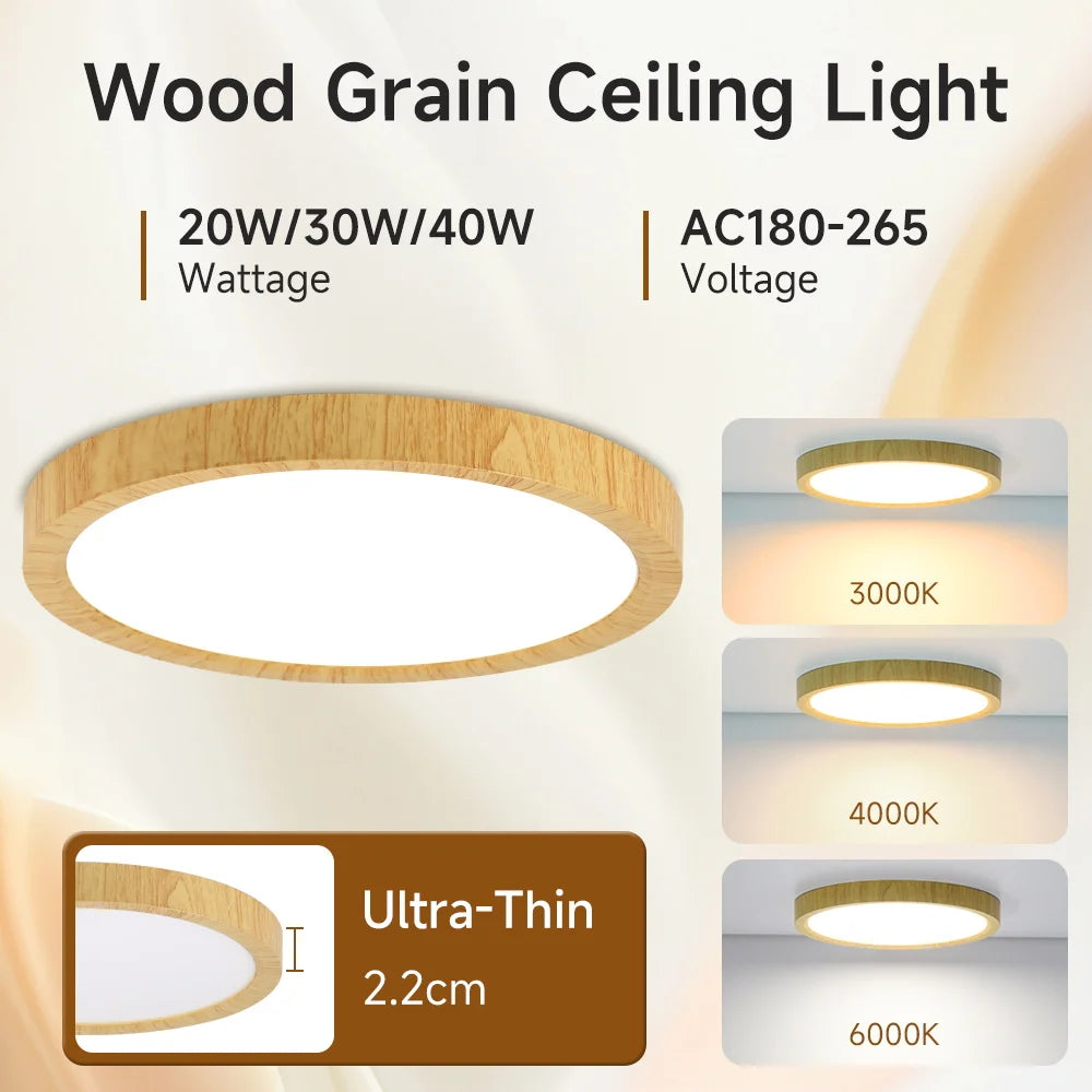 Slim Panel Modern Ceiling Chandelier