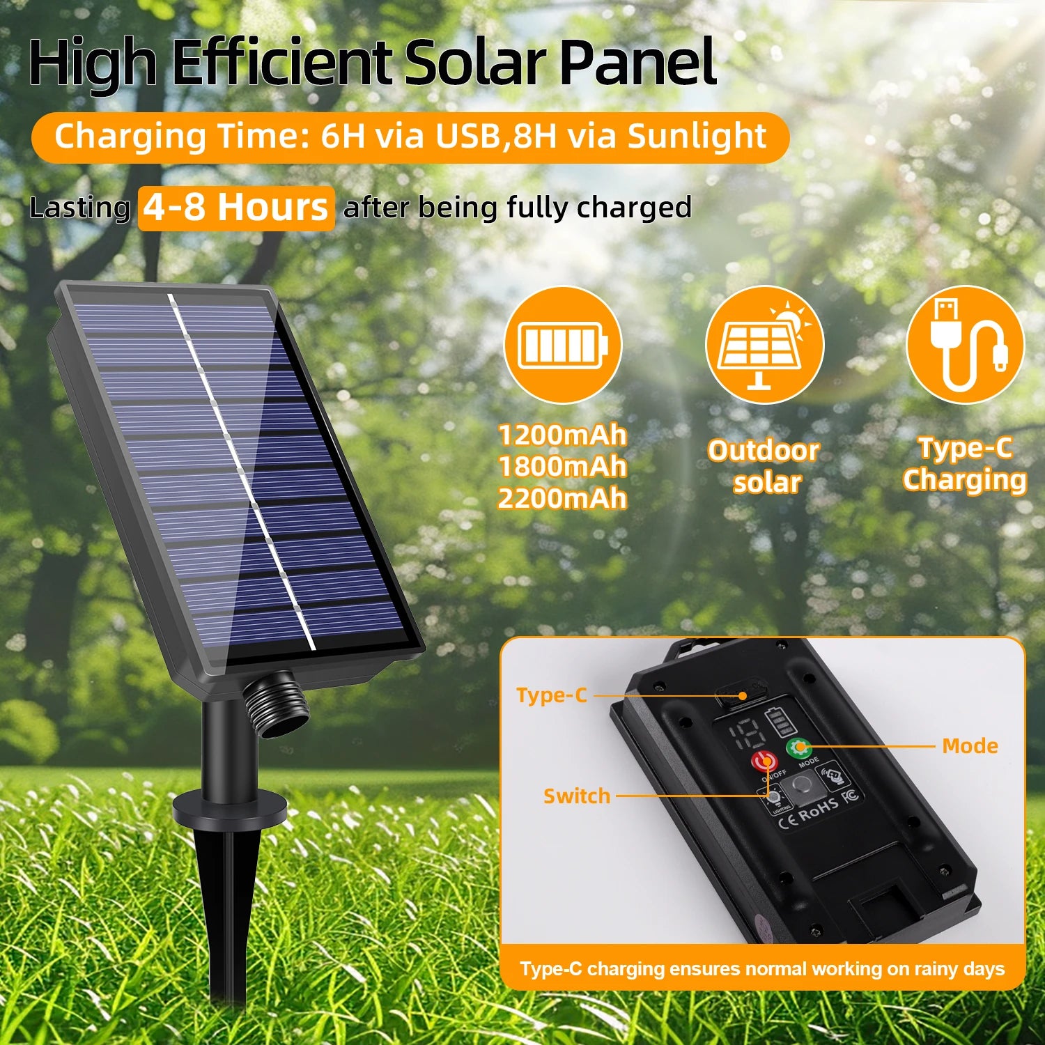 Solar G40 Globe String Lights