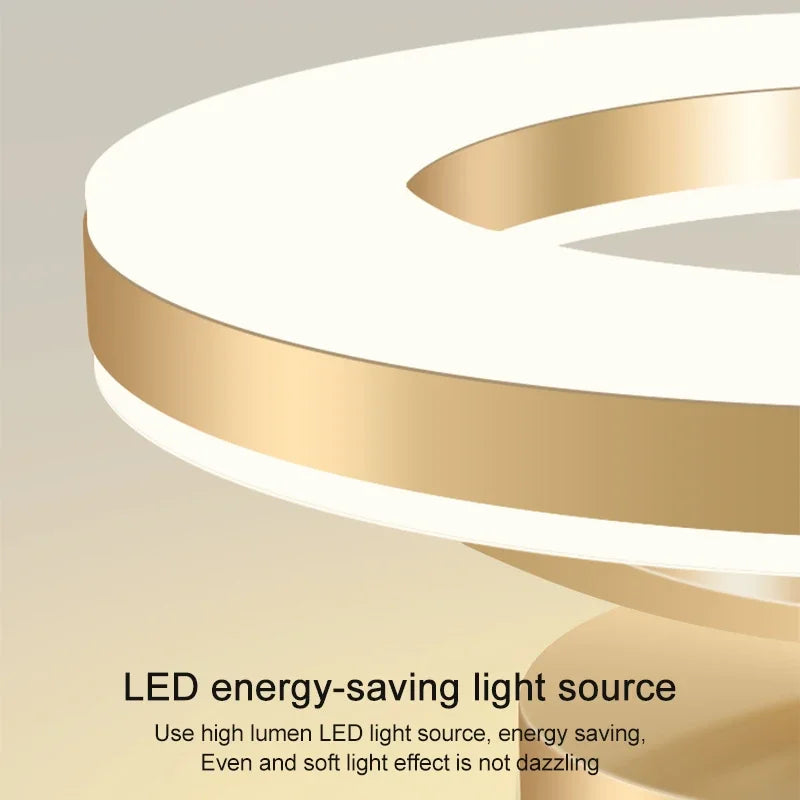 Modern Round Indoor Ceiling Lamp