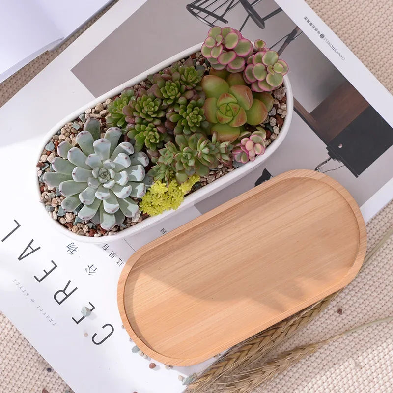 Oval Ceramic Succulent Planter with Tray