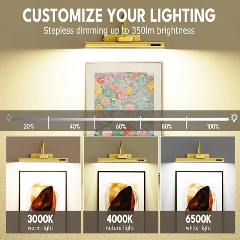4000mAh Painting Picture Light Portrait With Remote