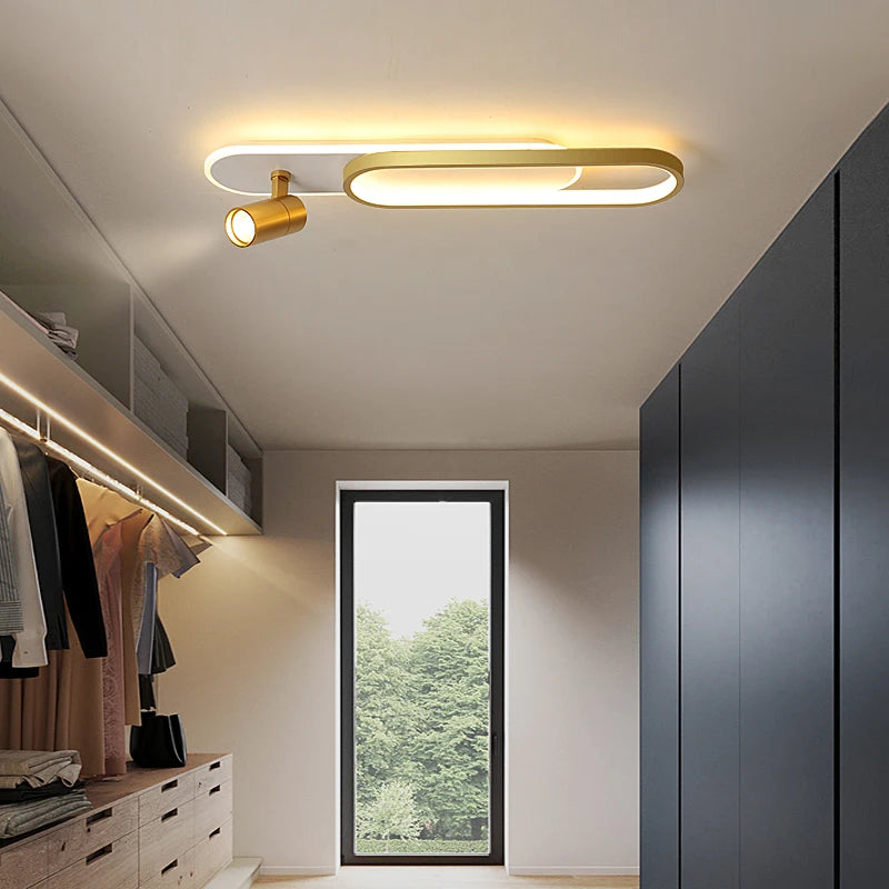 Ceiling Light with Adjustable Spotlights