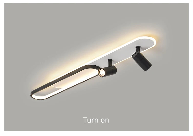 Ceiling Light with Adjustable Spotlights