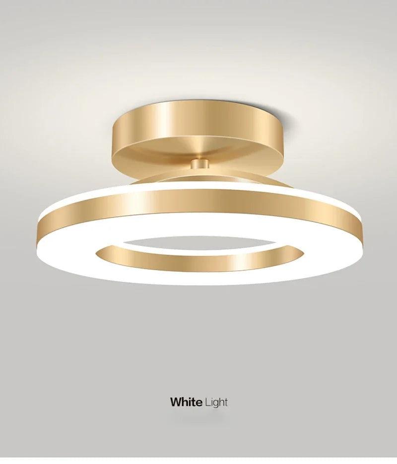 Modern Round LED Ceiling Light