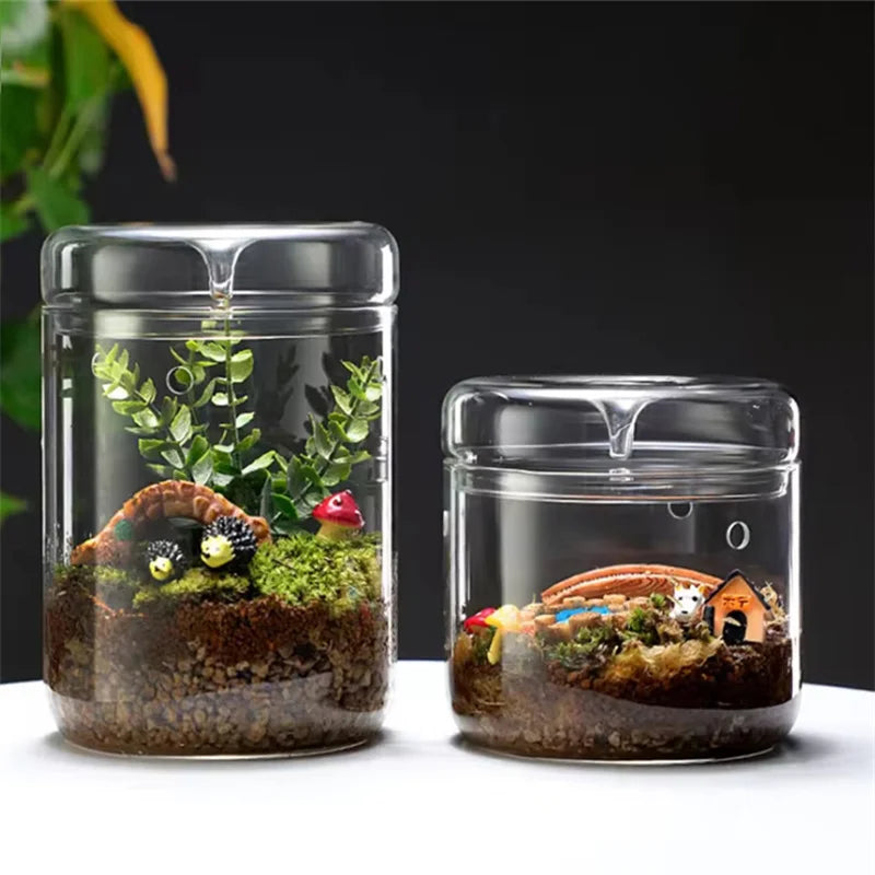Glass Terrarium Bottle Vase