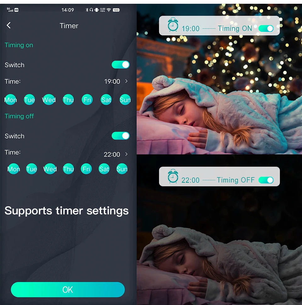 Bluetooth RGBIC Dreamcolor Fairy Lights