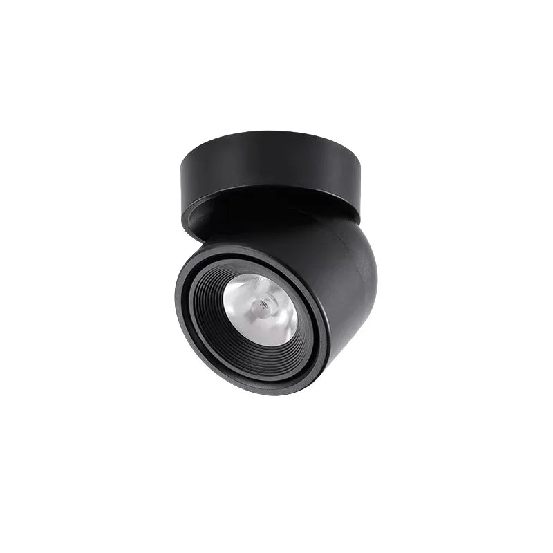 Rotatable Anti Glare Surface Mount Spotlight