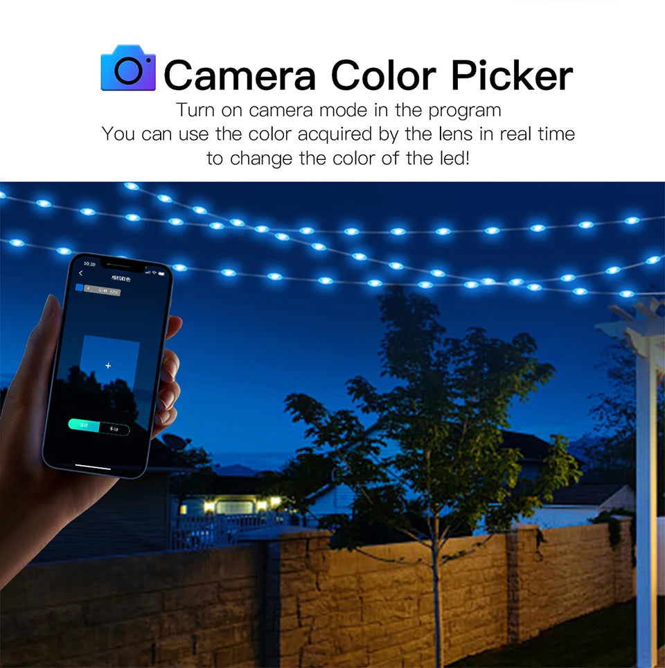 Bluetooth RGBIC Dreamcolor Fairy Lights