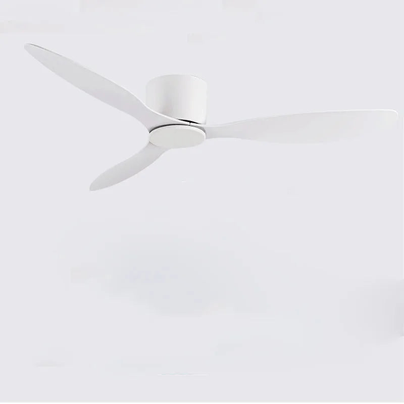 Quiet DC Motor Ceiling Fan
