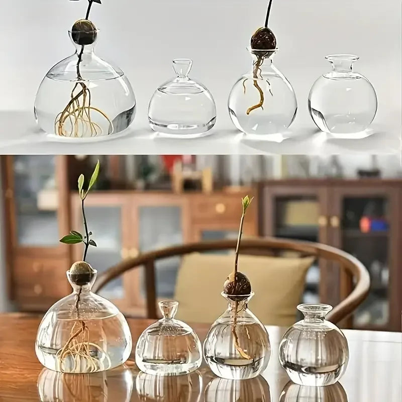 Glass Bulb Seed Starter Vase