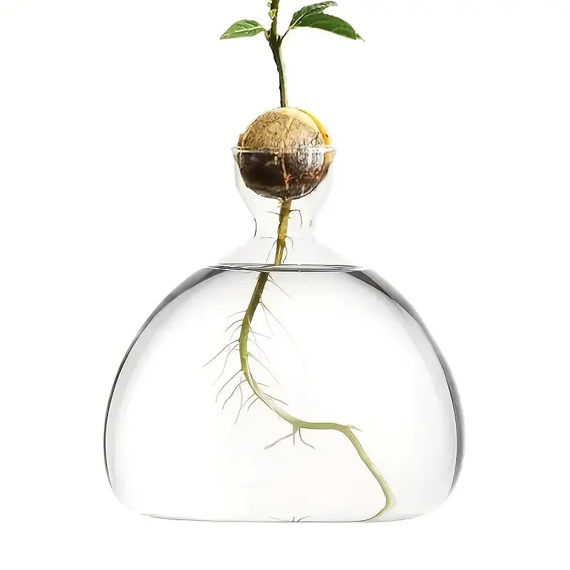 Glass Bulb Seed Starter Vase