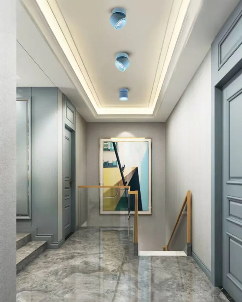 Rotatable Anti Glare Surface Mount Spotlight