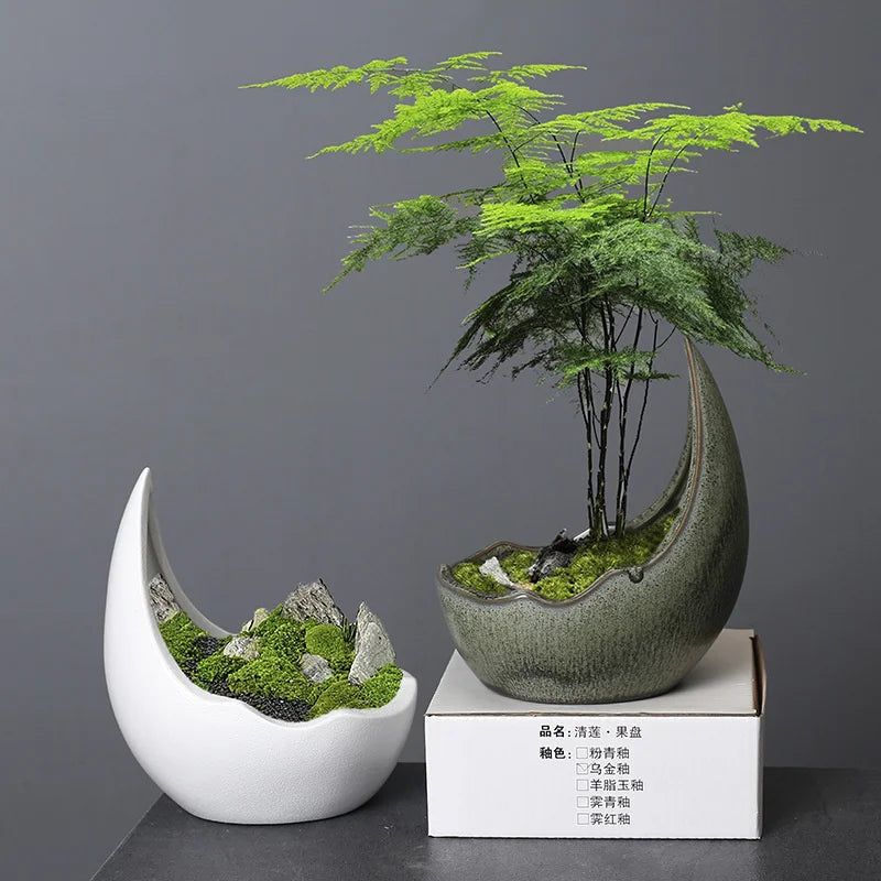 Rhino Horn Ceramic Succulent Planter