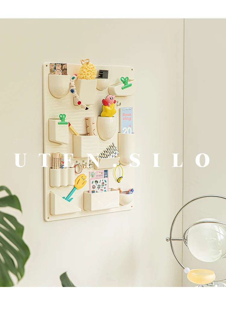 Wall Mounted Storage Rack with Hooks