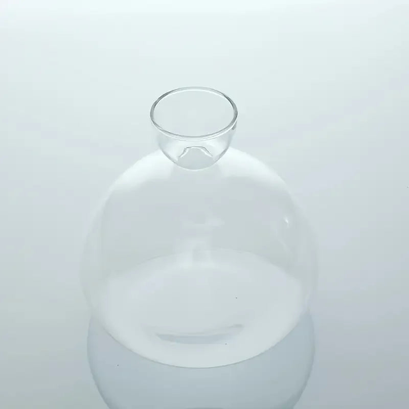 Glass Bulb Seed Starter Vase