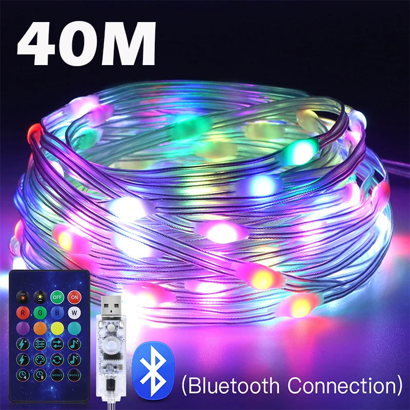 Bluetooth RGBIC Dreamcolor Fairy Lights
