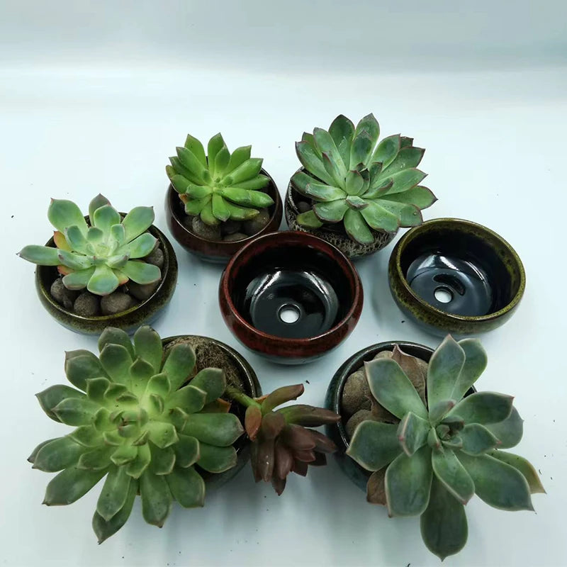 Mini Ceramic Bonsai Pots Set of 6