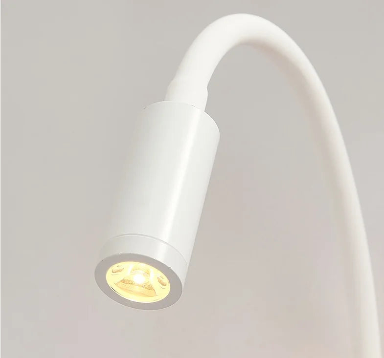 Gooseneck Reading Wall Lamp with USB