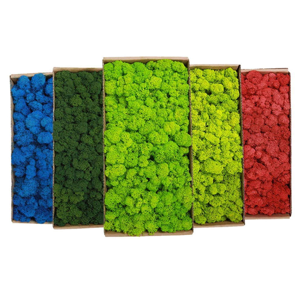 200g Artificial Green Plants Mini Landscape Eternal Life Moss