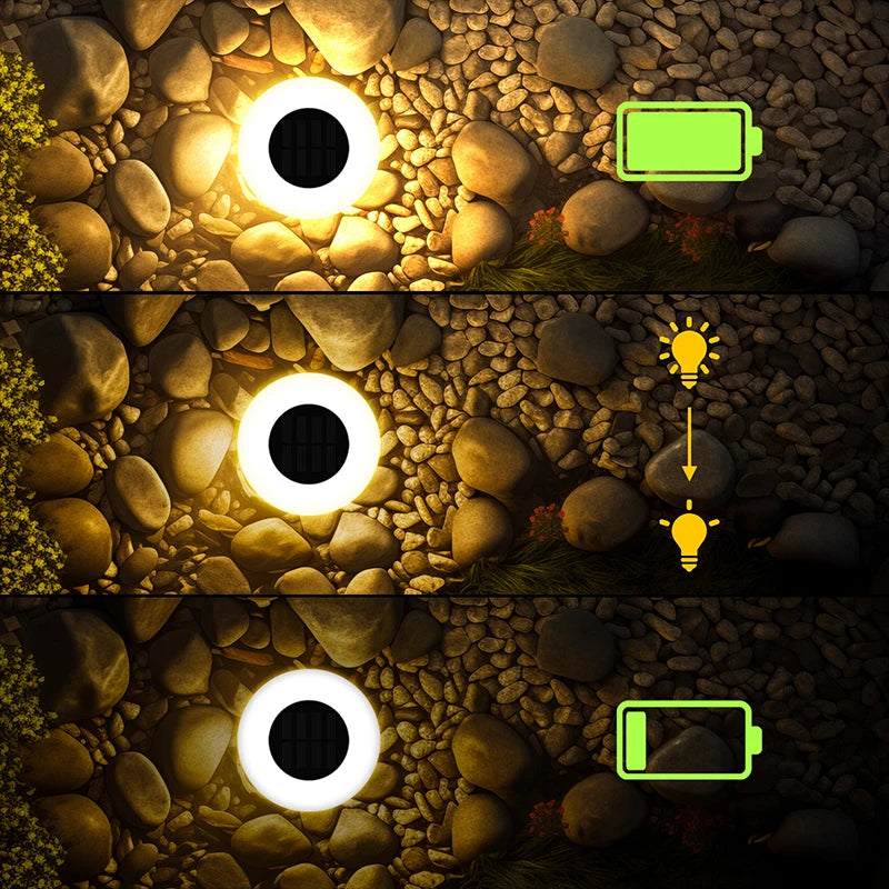 Solar Disk Pathway Lights
