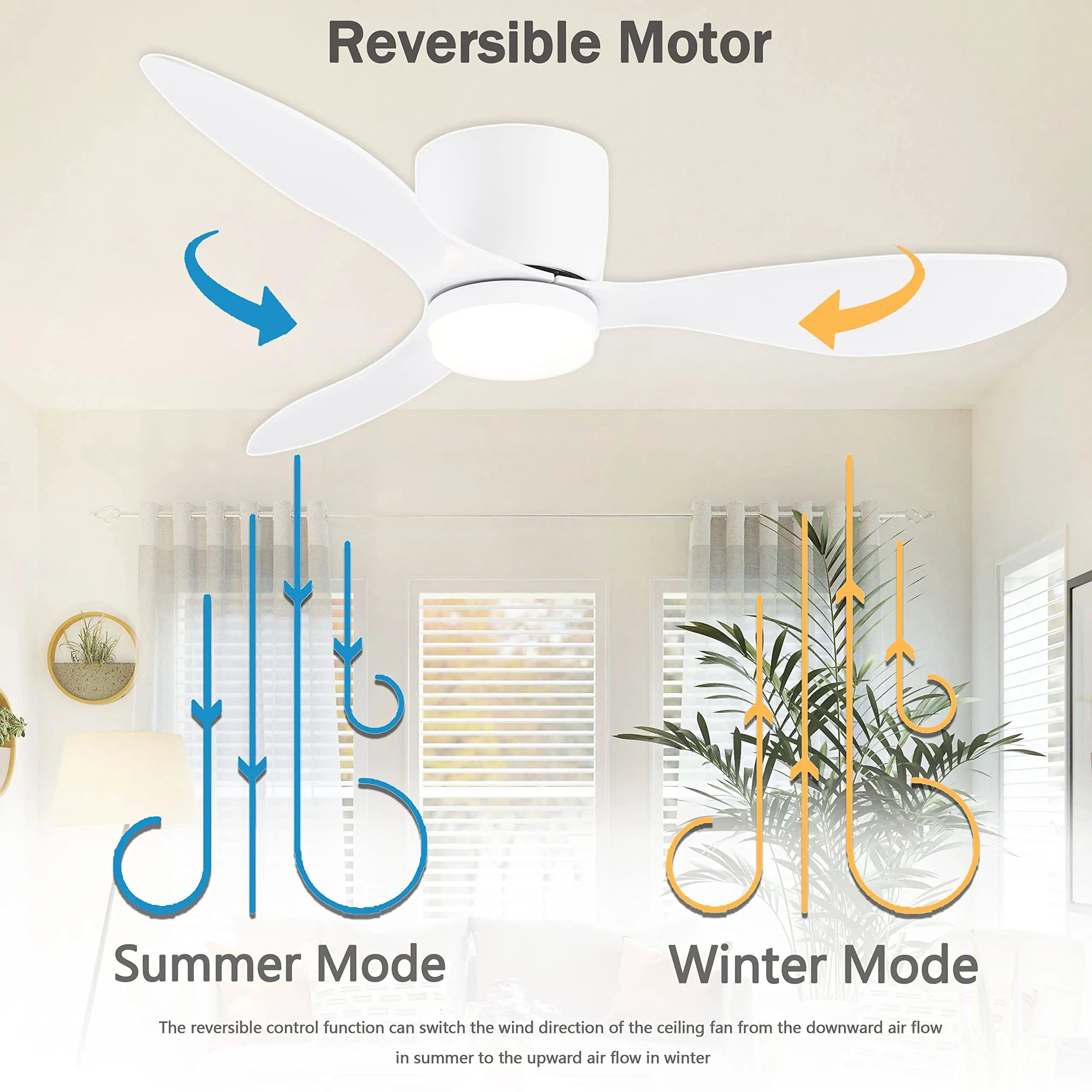 Large DC Motor Ceiling Fan