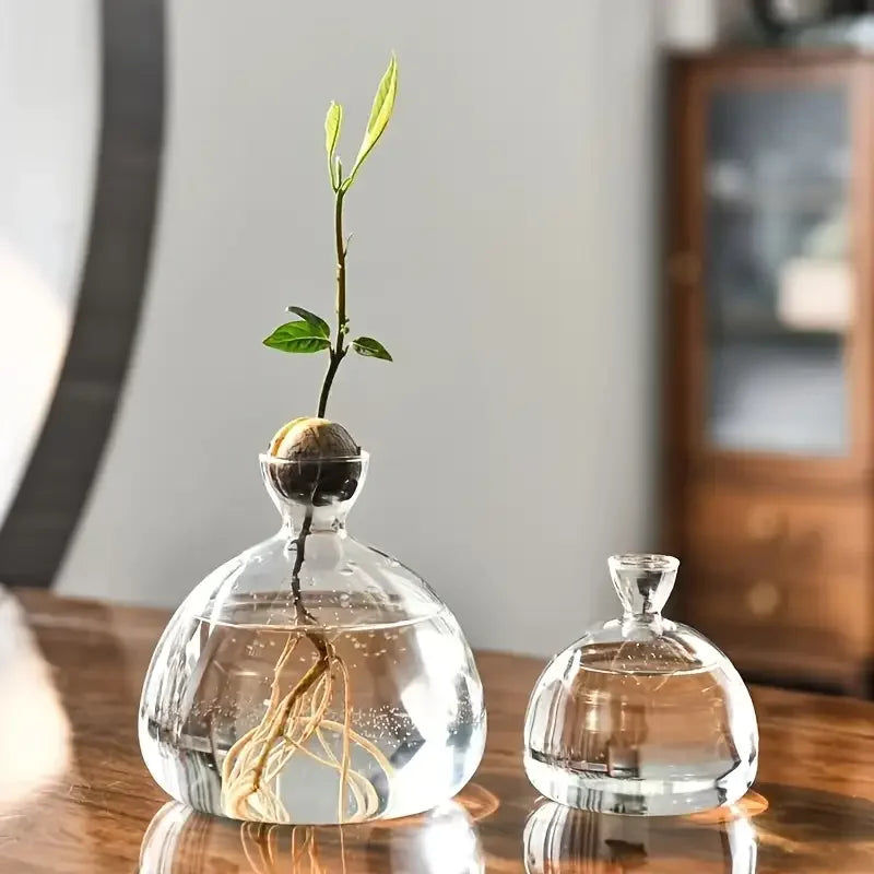 Glass Bulb Seed Starter Vase