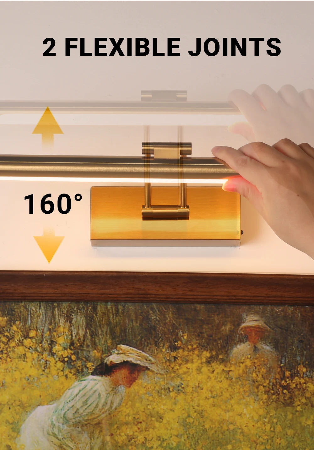 Rechargeable Picture Light with Remote