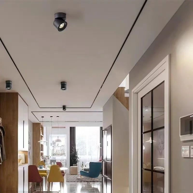 Rotatable Anti Glare Surface Mount Spotlight