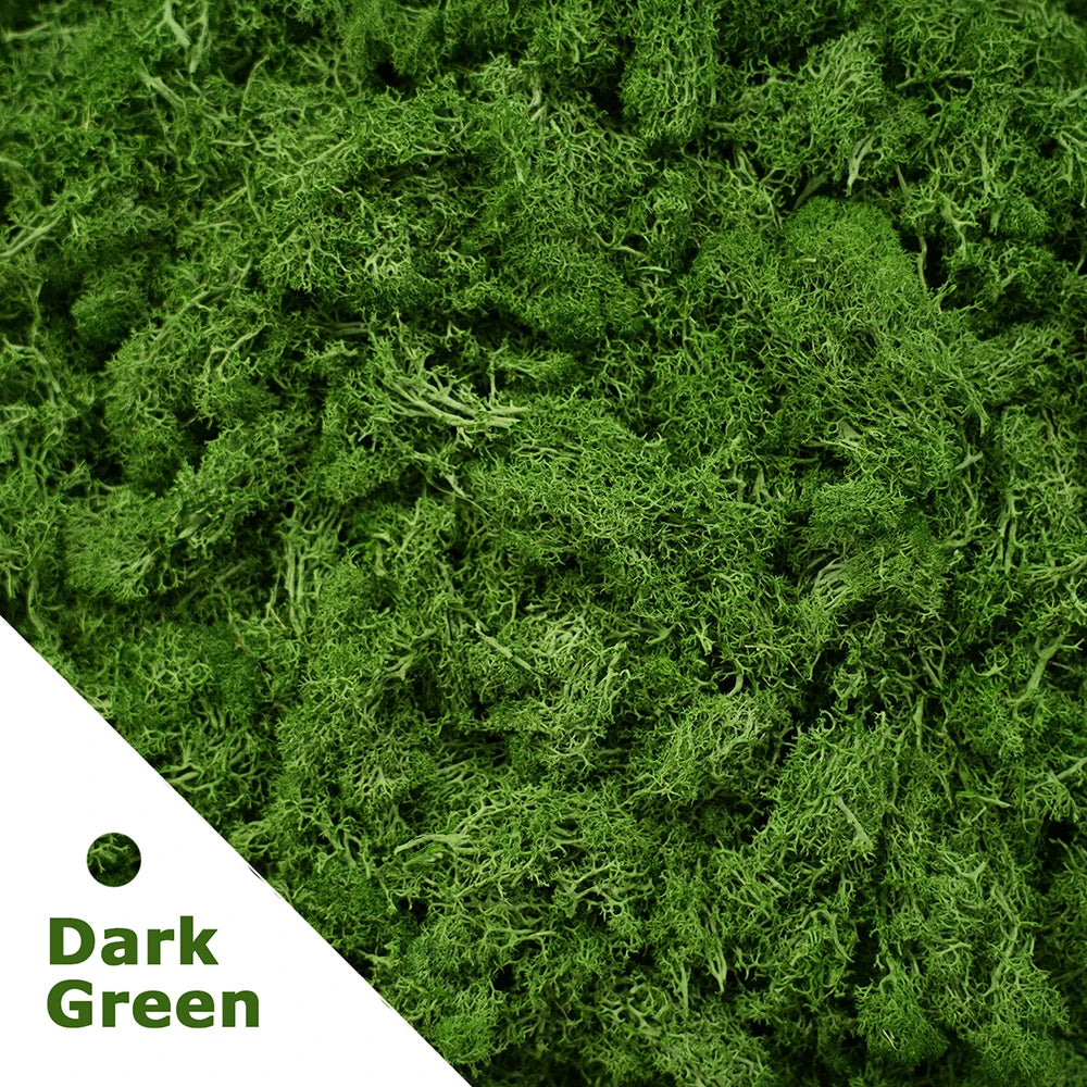 200g Artificial Green Plants Mini Landscape Eternal Life Moss