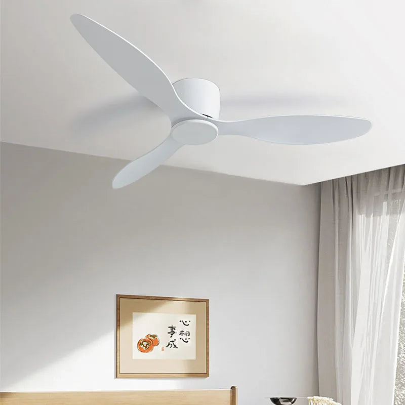 Quiet DC Motor Ceiling Fan