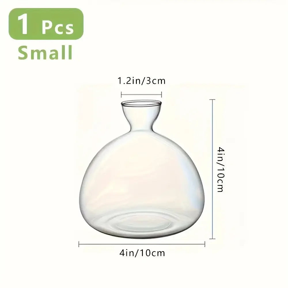Glass Bulb Seed Starter Vase