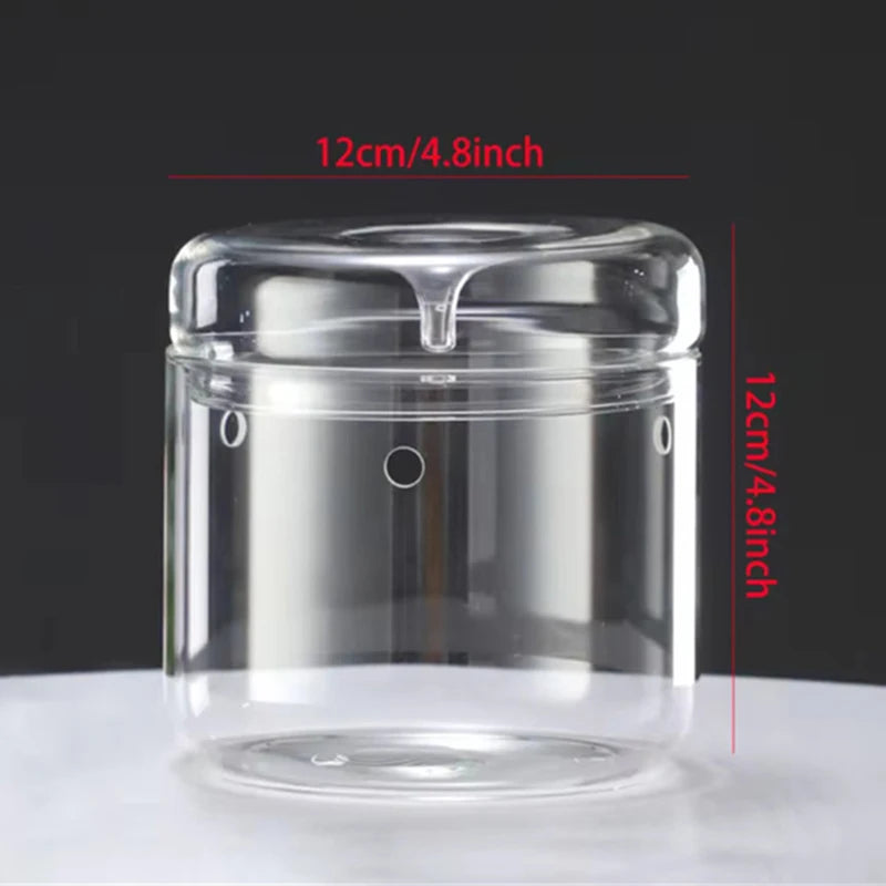 Glass Terrarium Bottle Vase
