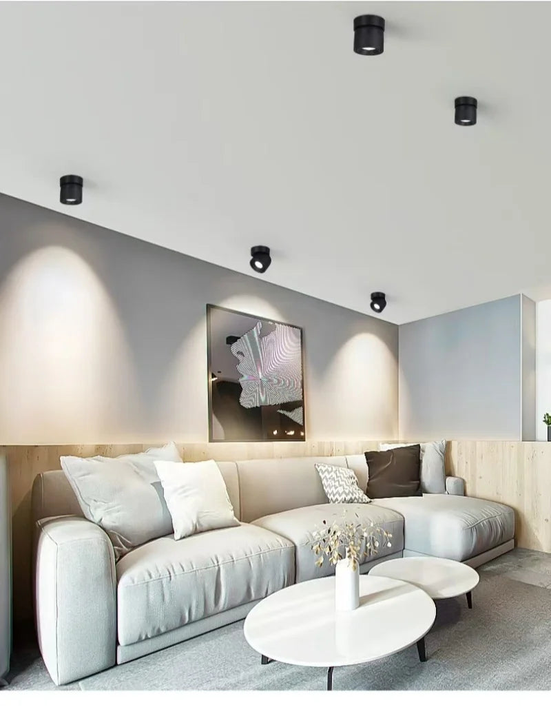 Rotatable Anti Glare Surface Mount Spotlight
