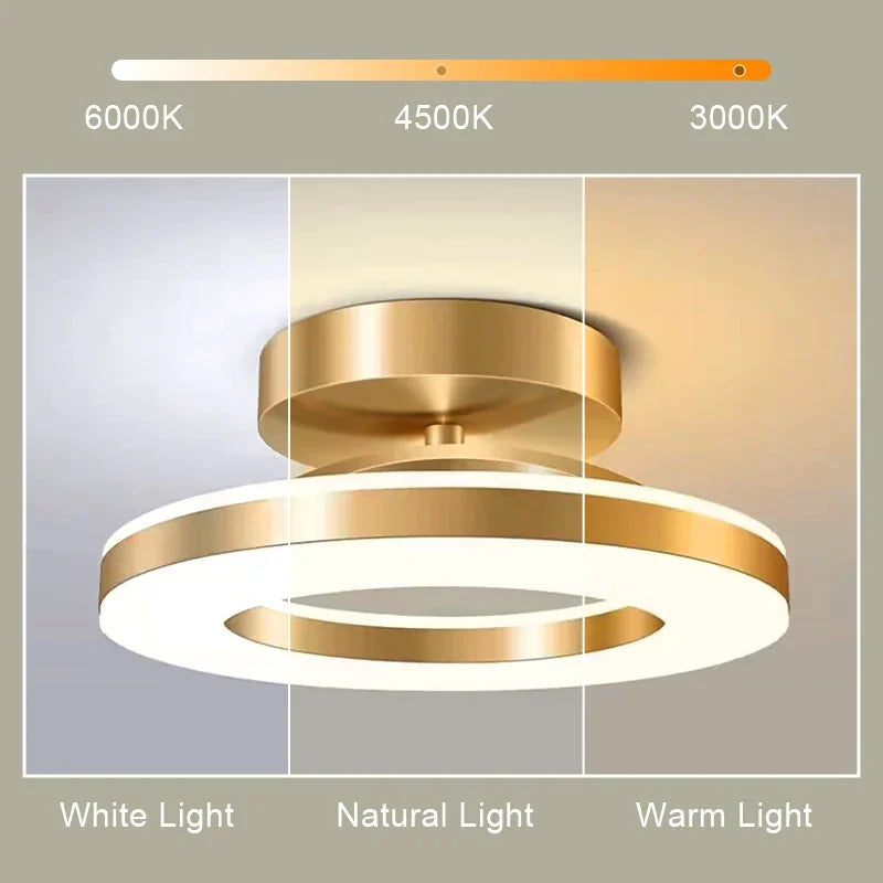 Modern Round Indoor Ceiling Lamp