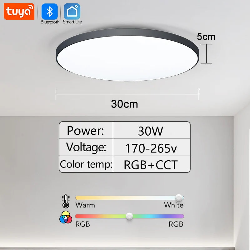 Smart Dimmable RGB LED Ceiling Light