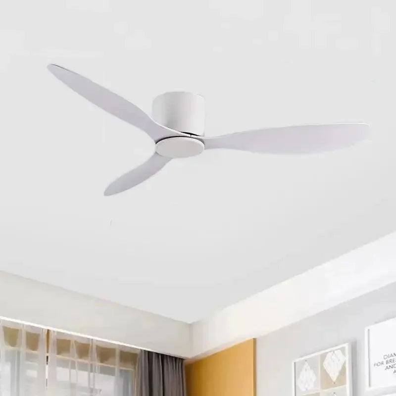 Quiet DC Motor Ceiling Fan