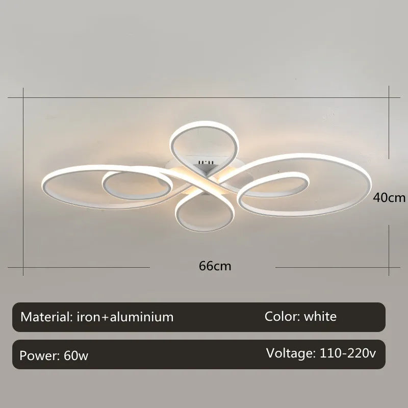 Low Profile Modern Ceiling Light