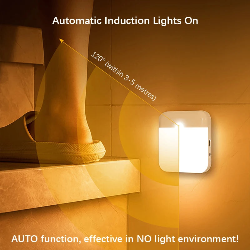Rechargeable Motion Sensor Lantern Light