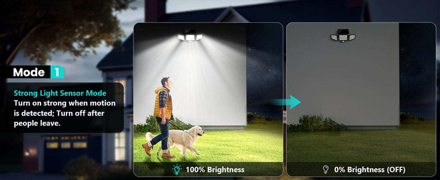 3-Head Solar Motion Security Light