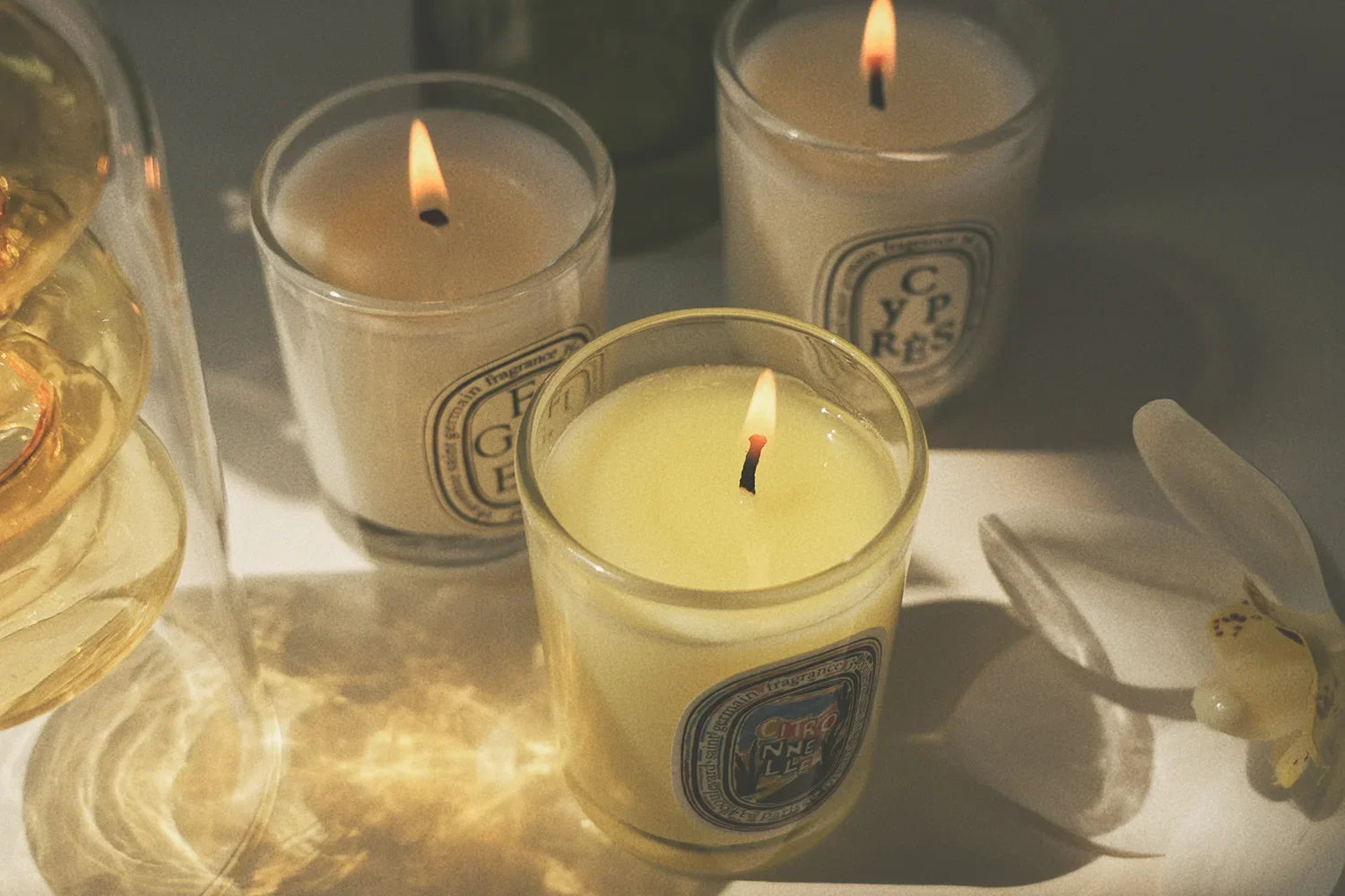 Aromatherapy Candle Natural Plant Scented Candles French Fragrance