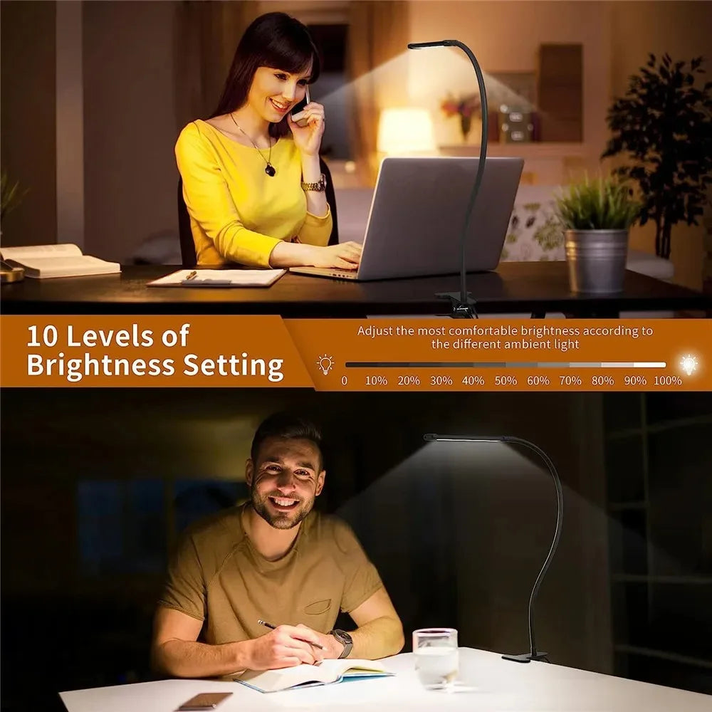 Architect Gooseneck Desk Lamp