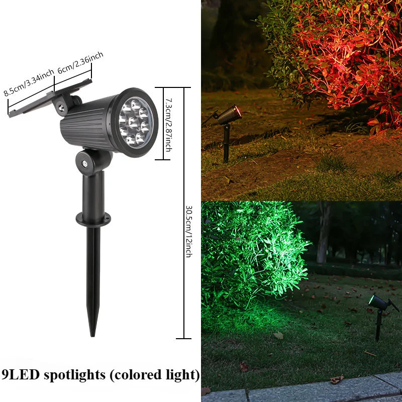 Solar Landscape Spotlight