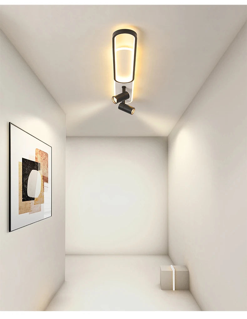 Ceiling Light with Adjustable Spotlights