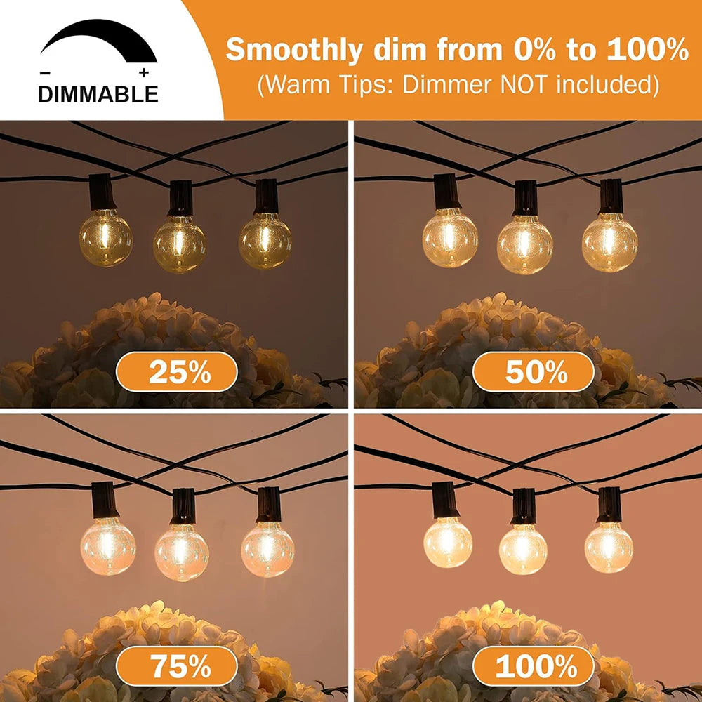 G40 Globe Festoon Patio String Lights