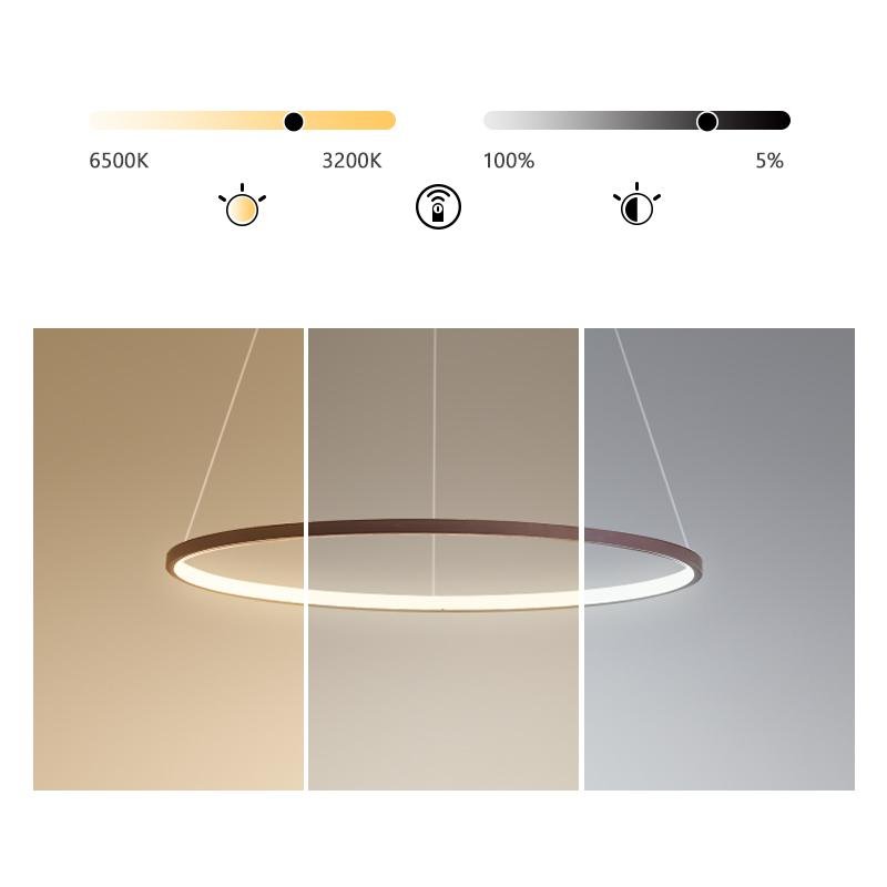 Circle Linear Chandelier, LED Ring Ceiling Light