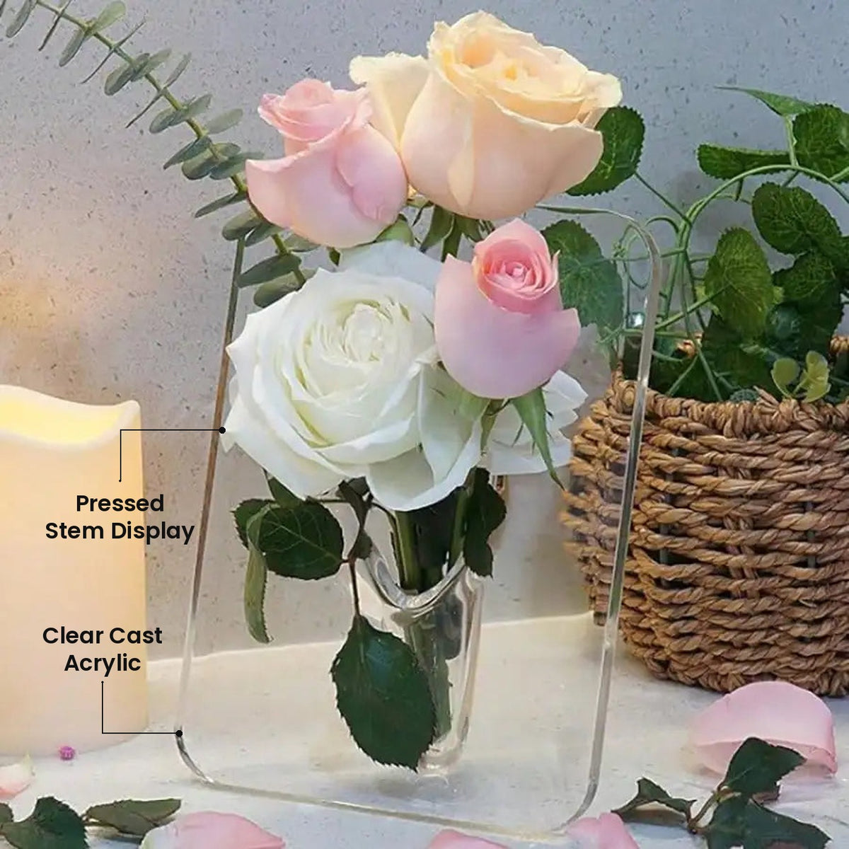 Clear Acrylic Frame Flower Vase: Pressed Stem Display, Clear Cast Acrylic